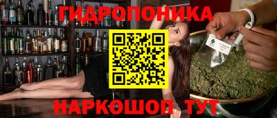 гидра Новодвинск