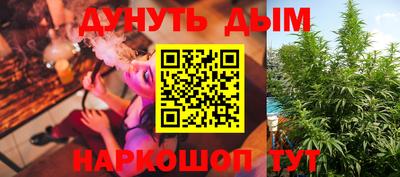 гидра Новодвинск
