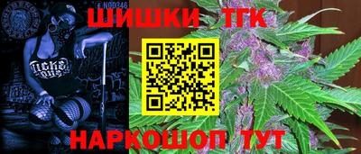 гидра Новодвинск