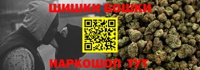 гидра Новодвинск