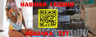 гидра Новодвинск