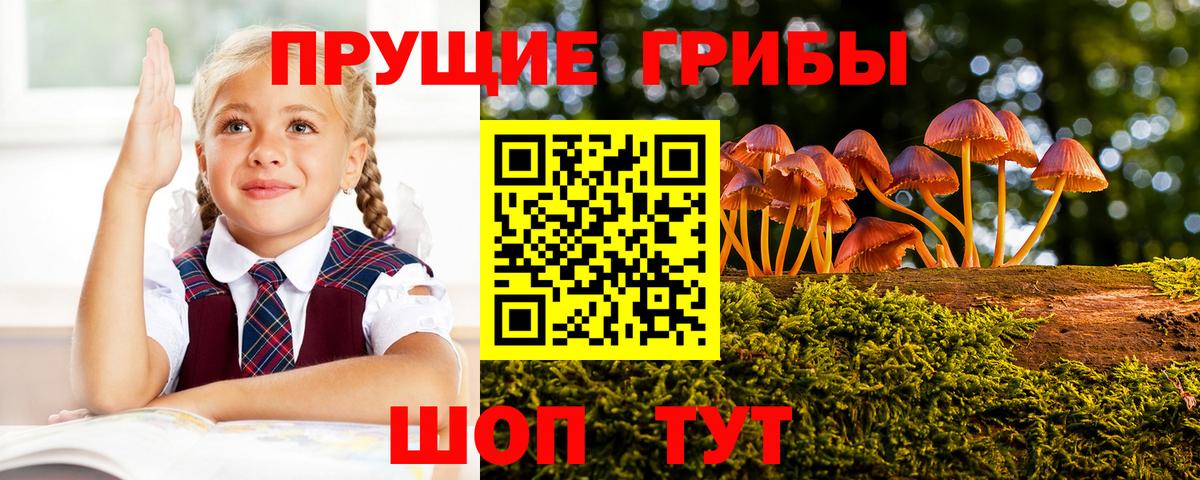 Алексеевка  Псилоцибиновые грибы мухоморы  Вход с VPN 