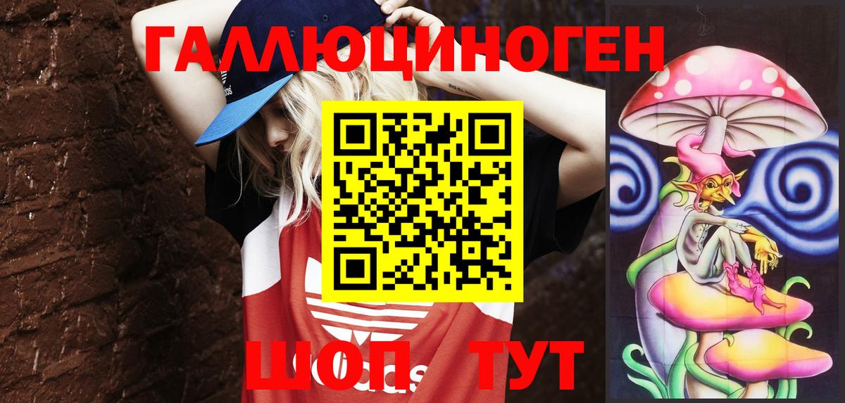 Галлюциногенные грибы Psilocybe Алексеевка