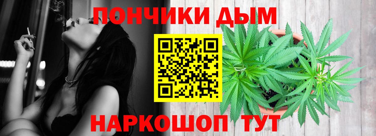Канабис сатива Алексеевка